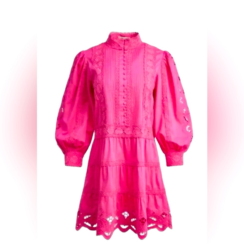 Alice + Olivia Clark Lace Corded Tiered Long Sleeve Pink Mini Dress